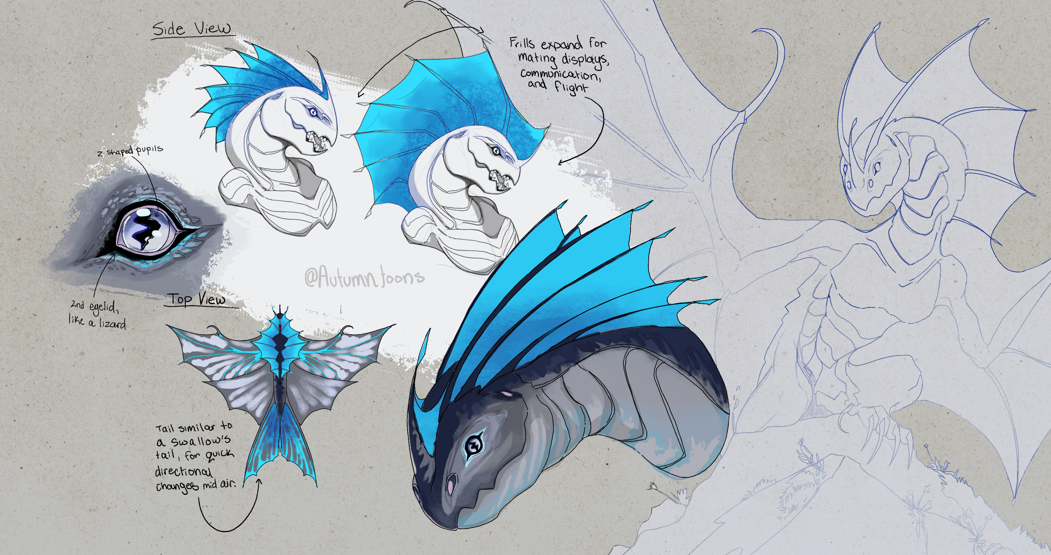 Dragon Design 2024