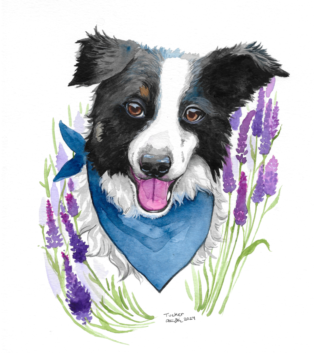 Tucker Watercolor Portrait - 2024