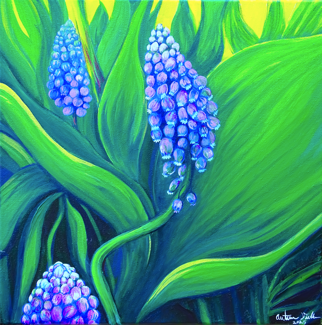 Skagit Grape Hyacinth, Acrylic on Canvas - 2025