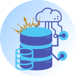 Icon showing hosting and domain