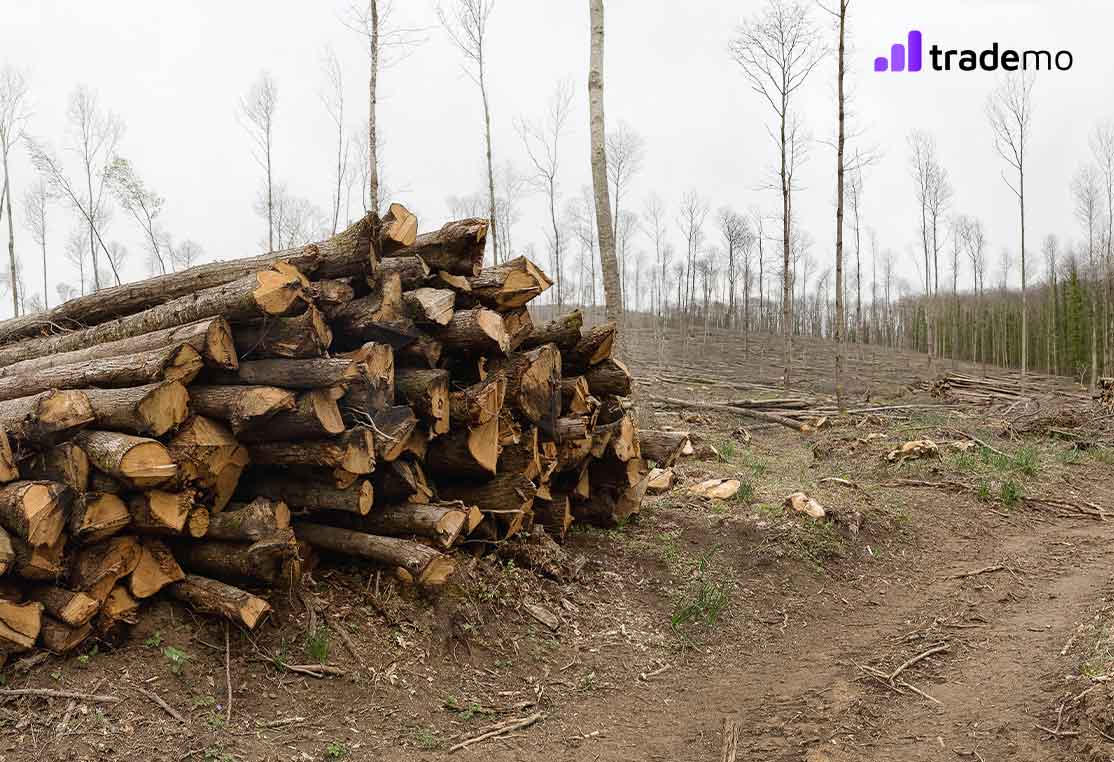 European Union Deforestation Act: A Step Towards Environmental Protection