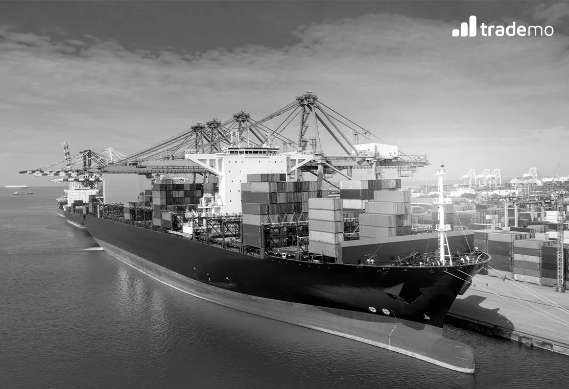 Import Compliance: Everything You Need to Know for Importing Goods