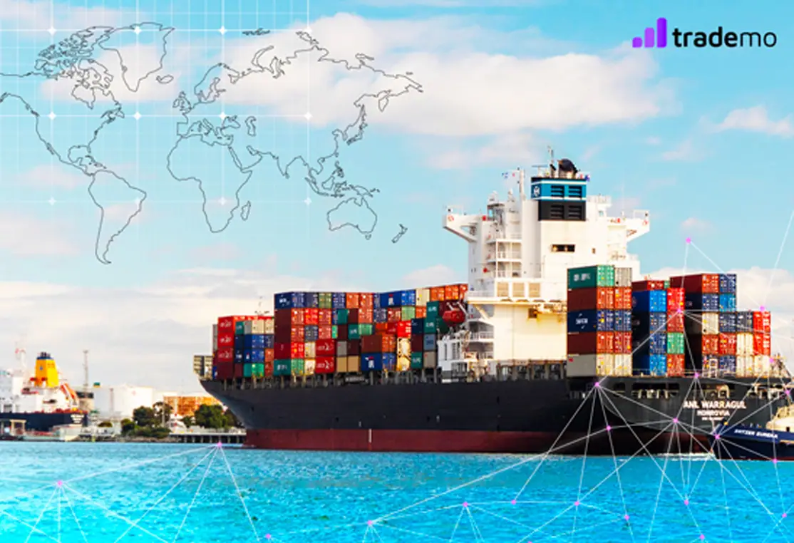 Understanding the Global Trade Market