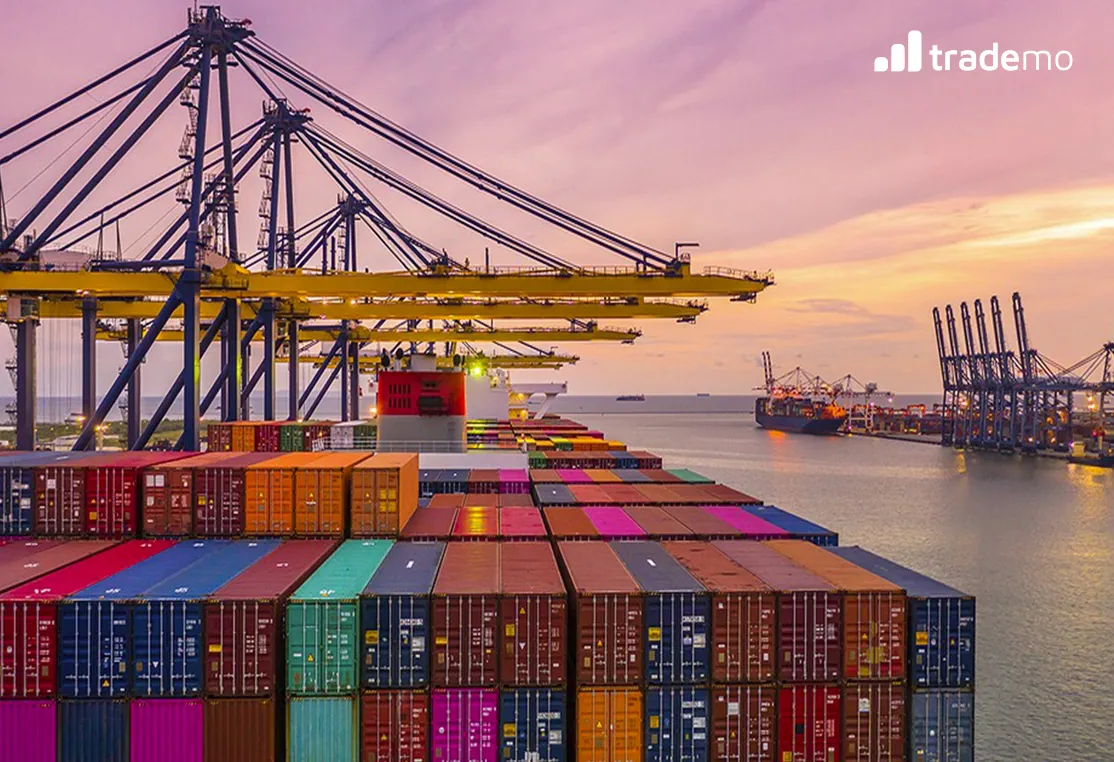 Problems in International Trade: What to watch out for in 2021?