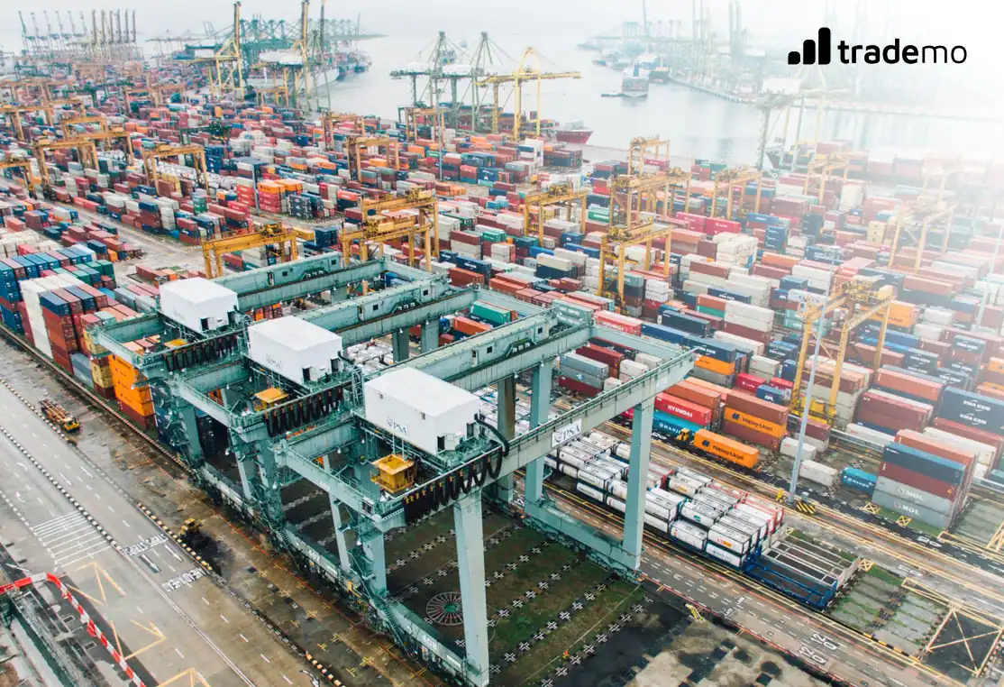 A Complete Guide for Importing into the US