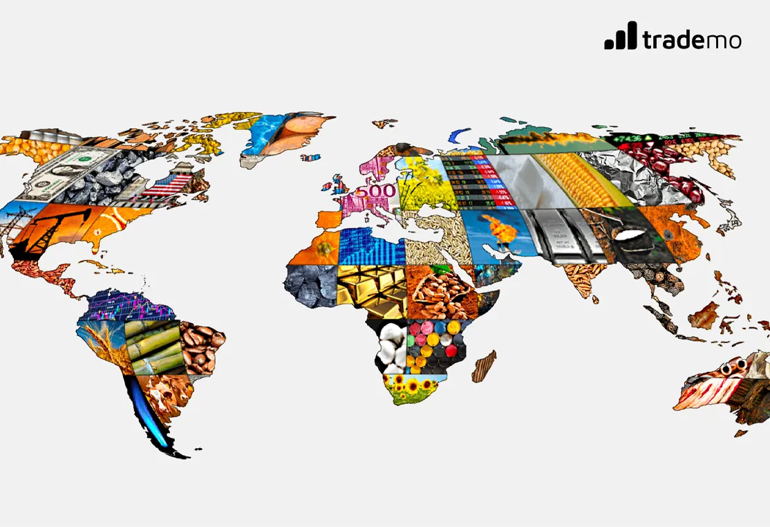 How to Choose the Right Product to Export