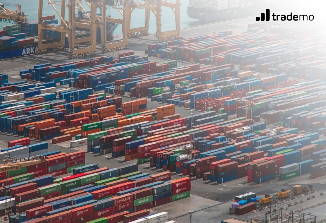 Trademo Intel: Global Trade Data Intelligence