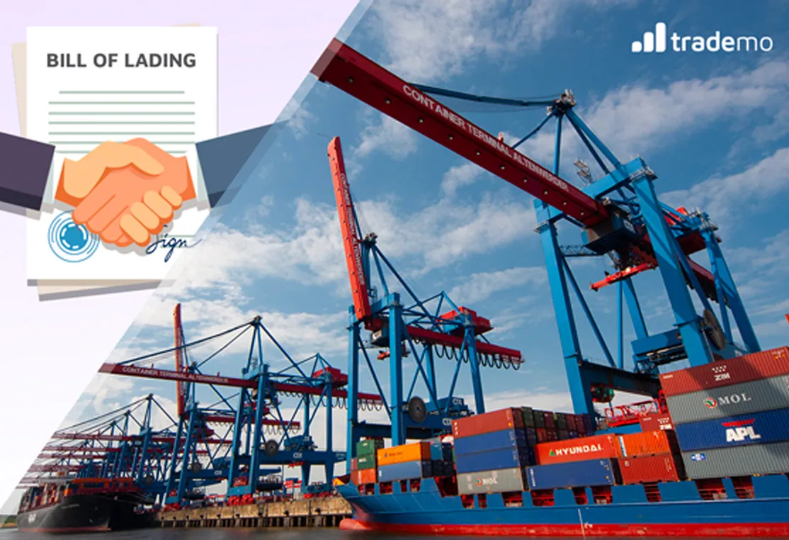 Beginner's Guide to Bill of Lading & How to Navigate it