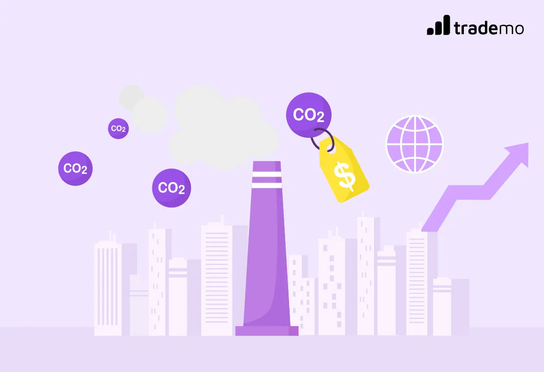 Understanding the Carbon Border Adjustment Mechanism