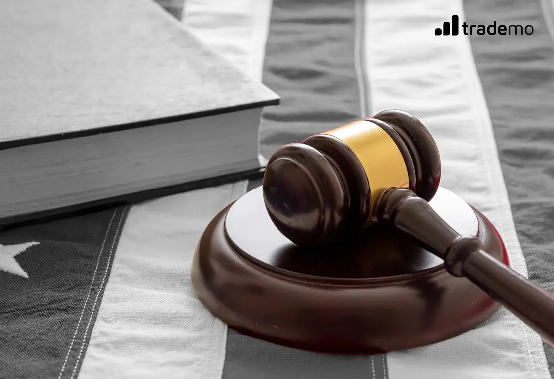 Everything You Need to Know About Customs Rulings