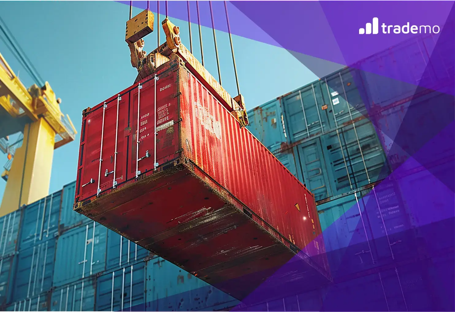 Detention in Global Trade