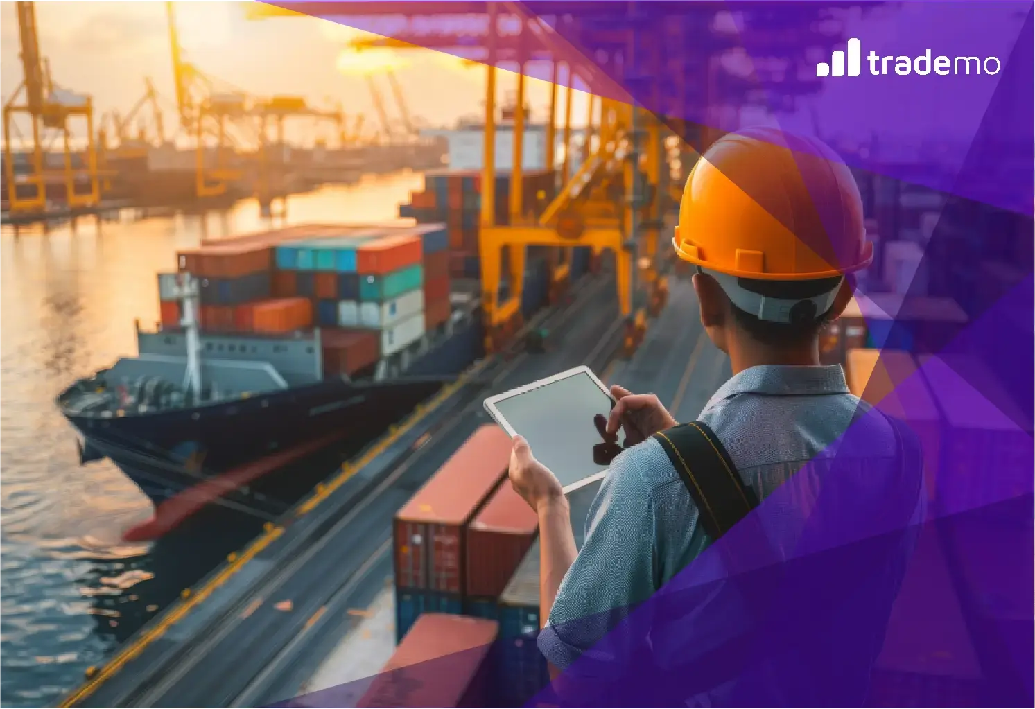What is Trade Credit Insurance?