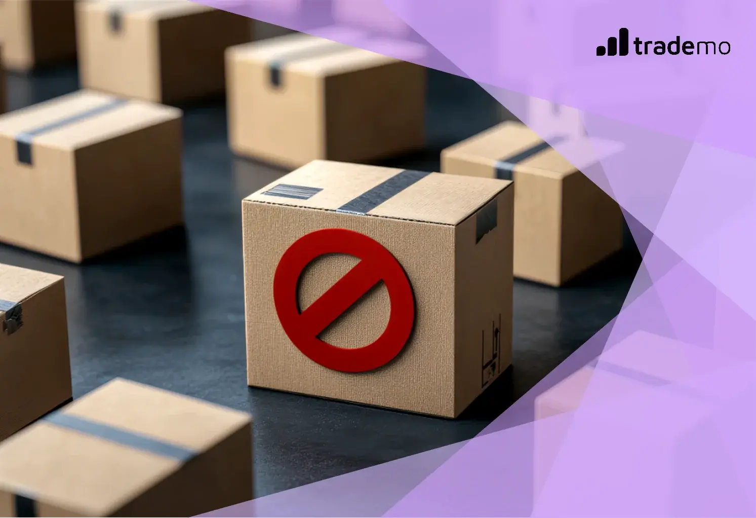 What Are Export Restrictions and Their Types?