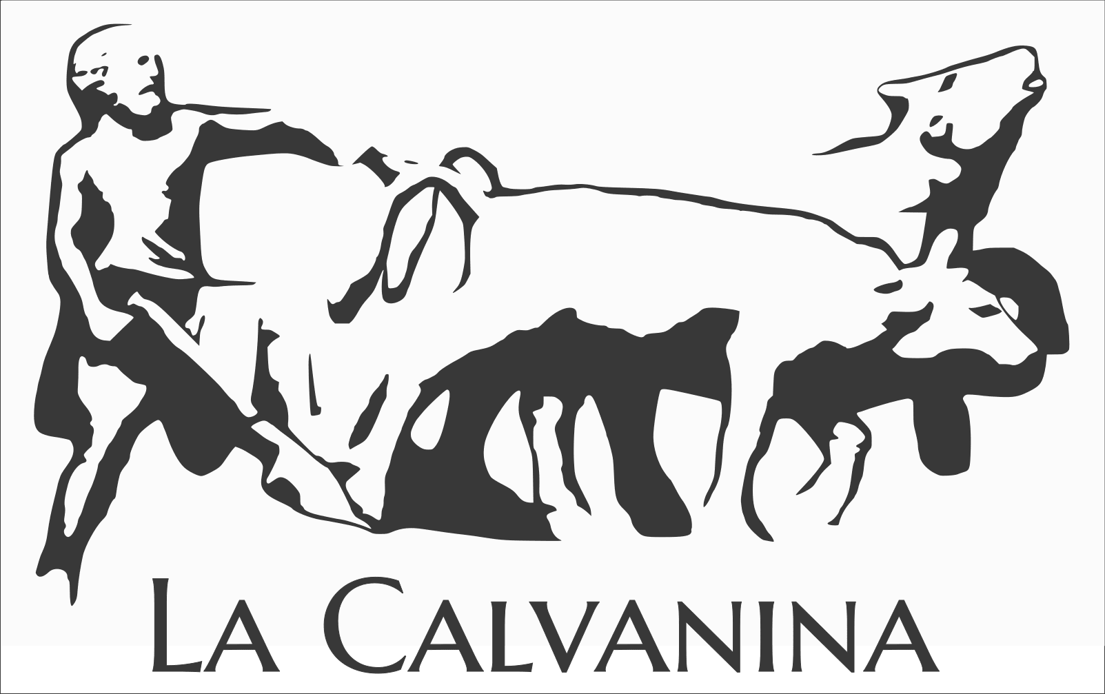 Logo Associazione La Calvanina