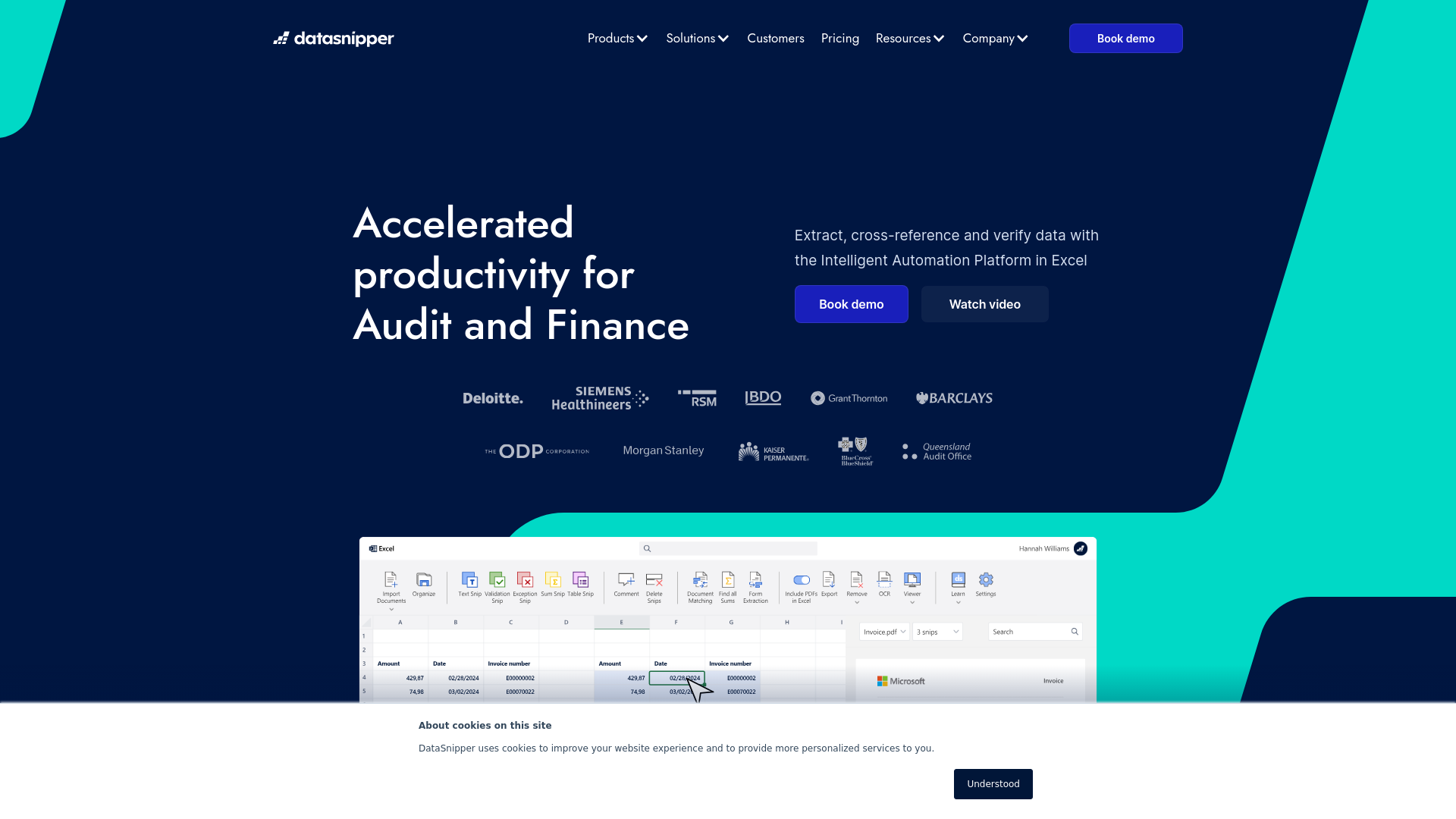 DataSnipper screenshot