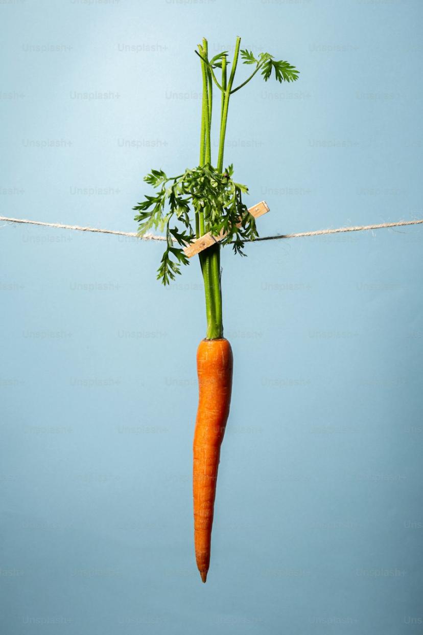 carrot-local-single