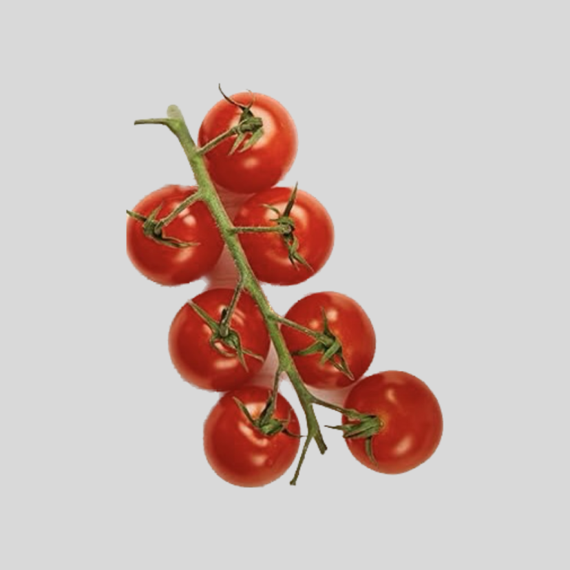 tomato-small-indian