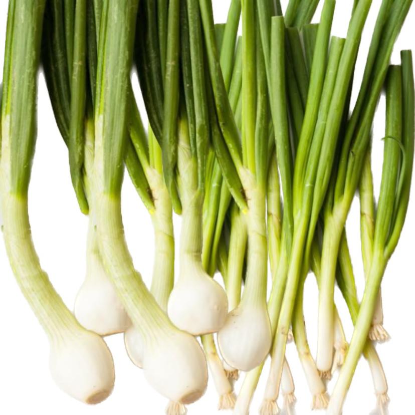 green onion bundle