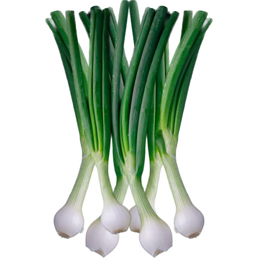 green Onion Green [ Pyaz ]
