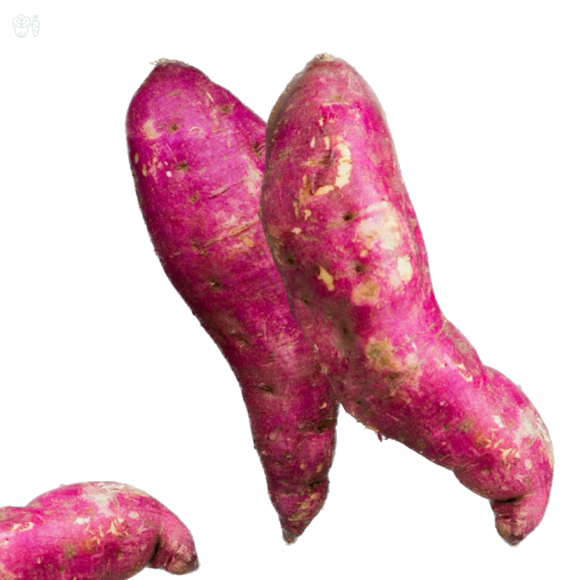 sweet potato