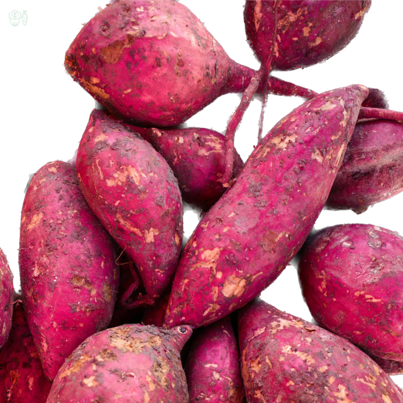 sweet potato kihan fresh house