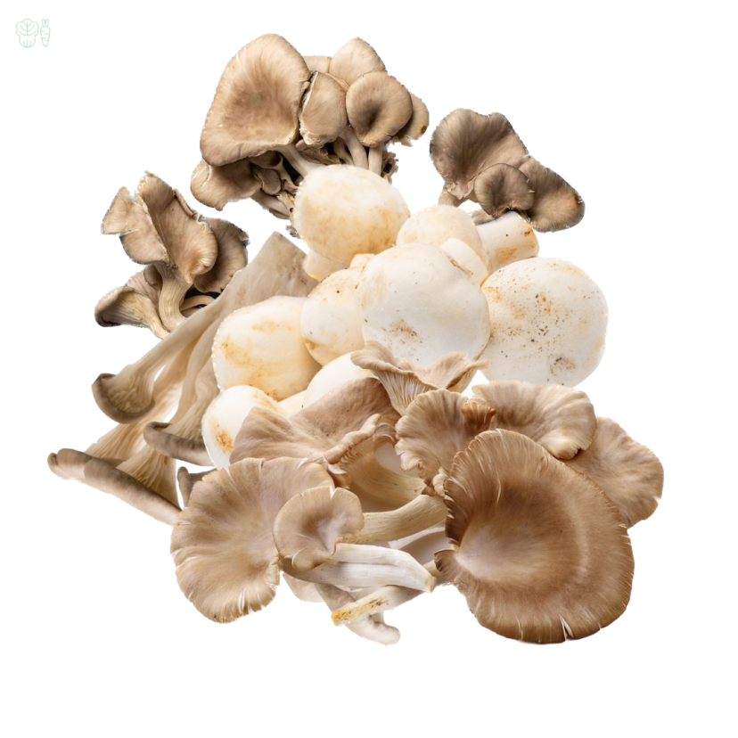 mins of mushroom kishan fresh house