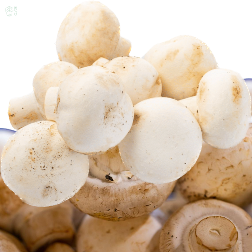 dalle chau white mushroom kishan fresh house