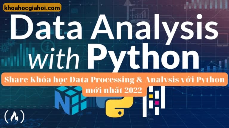 Khoá Học Data Processing & Analysis Với Python Cùng Nordic Coder