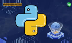 Khóa Học Chinh Phục Python Trong 30 Ngày: Từ Cơ Bản Đến Nâng Cao