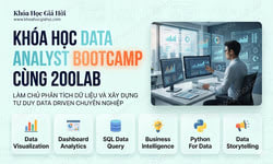 Khóa Học Data Analyst Bootcamp Cùng 200Lab