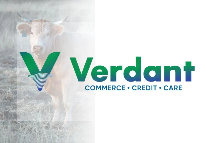 Verdant Impact Raises $3 Million Seed Funding Led by Unicorn India Ventures