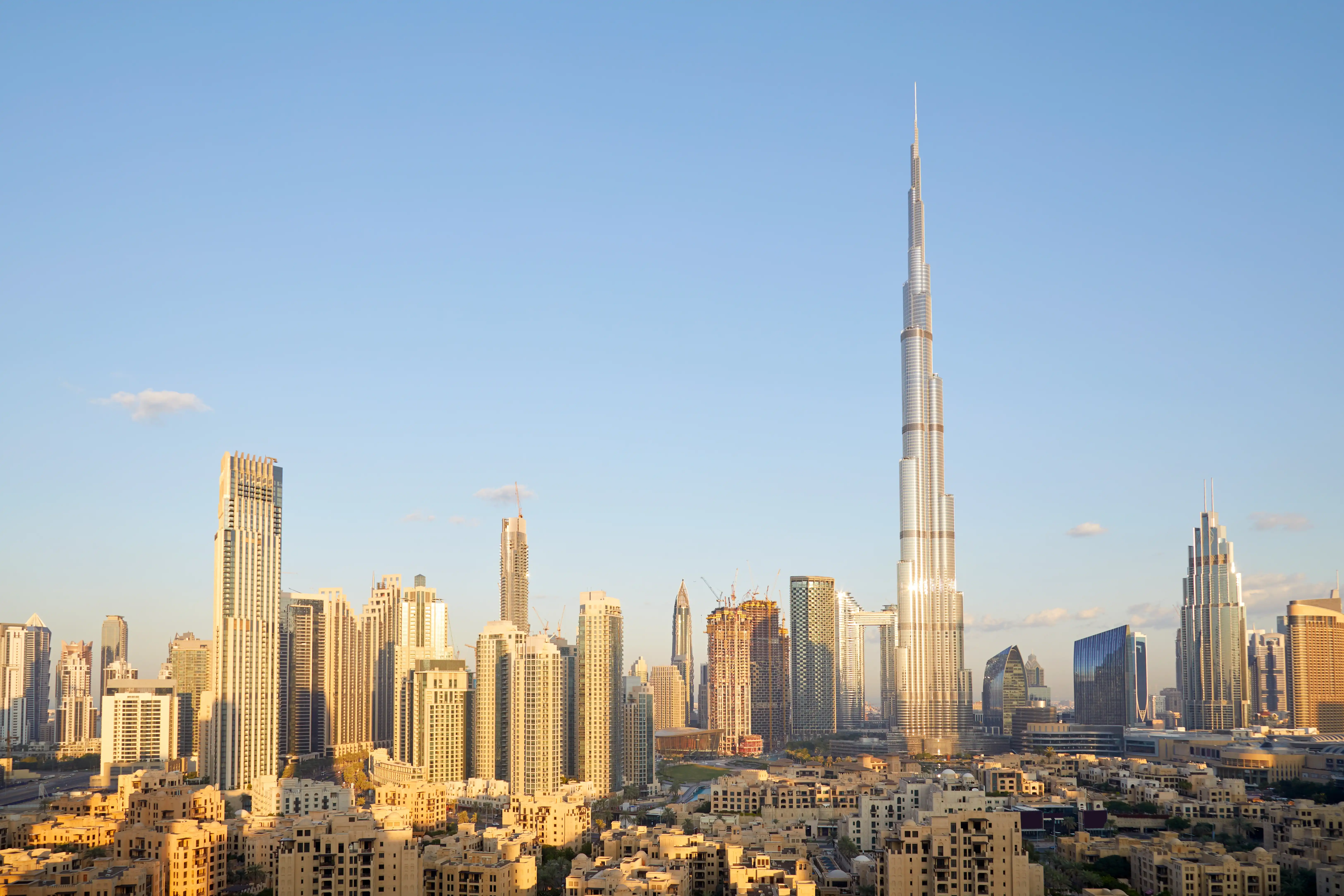 Study in  UAE