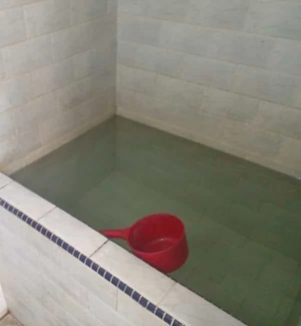 Kost Reni