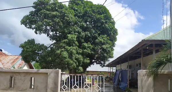 Kost Murah di Sifnana South Tanimbar Tanimbar Islands Regency Maluku 22a7f