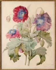 Couverture de la lettre 13