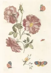 Couverture de la lettre 33