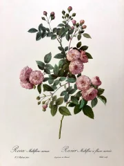 Couverture de la lettre 10