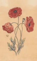 Couverture de la lettre 30