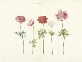 Couverture de la lettre 20