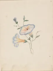 Couverture de la lettre 5