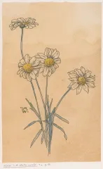 Couverture de la lettre 25