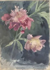 Couverture de la lettre 6