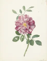 Couverture de la lettre 45