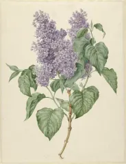 Couverture de la lettre 31
