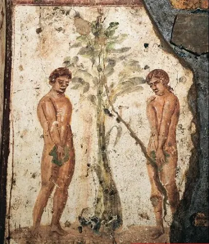 Quand la femme confond les deux arbres