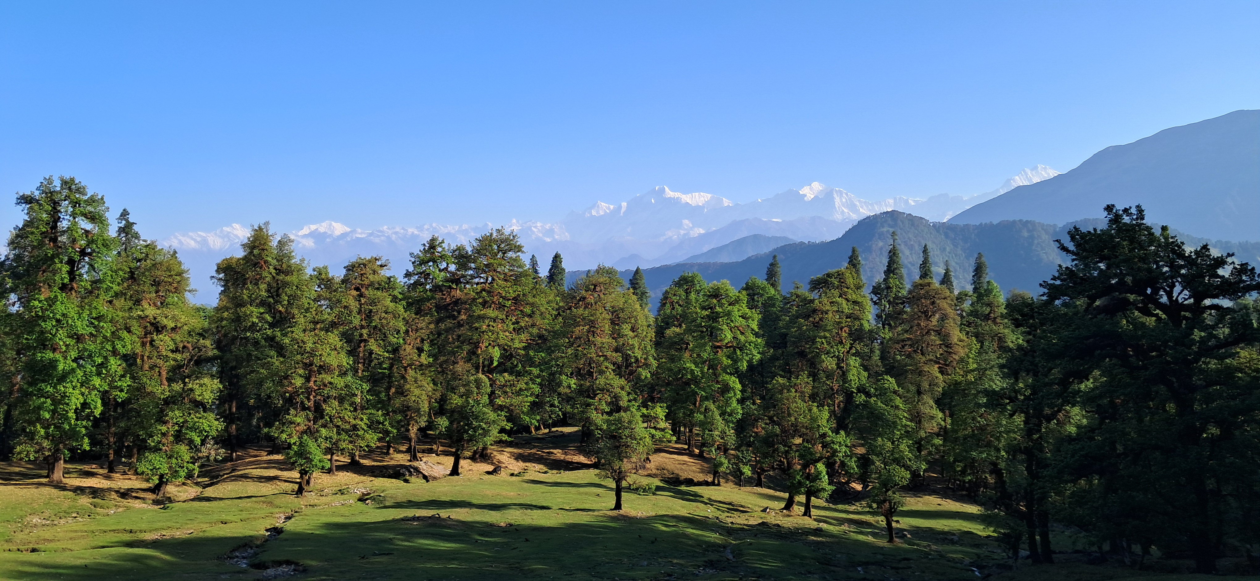 Mesmerizing Chopta valley