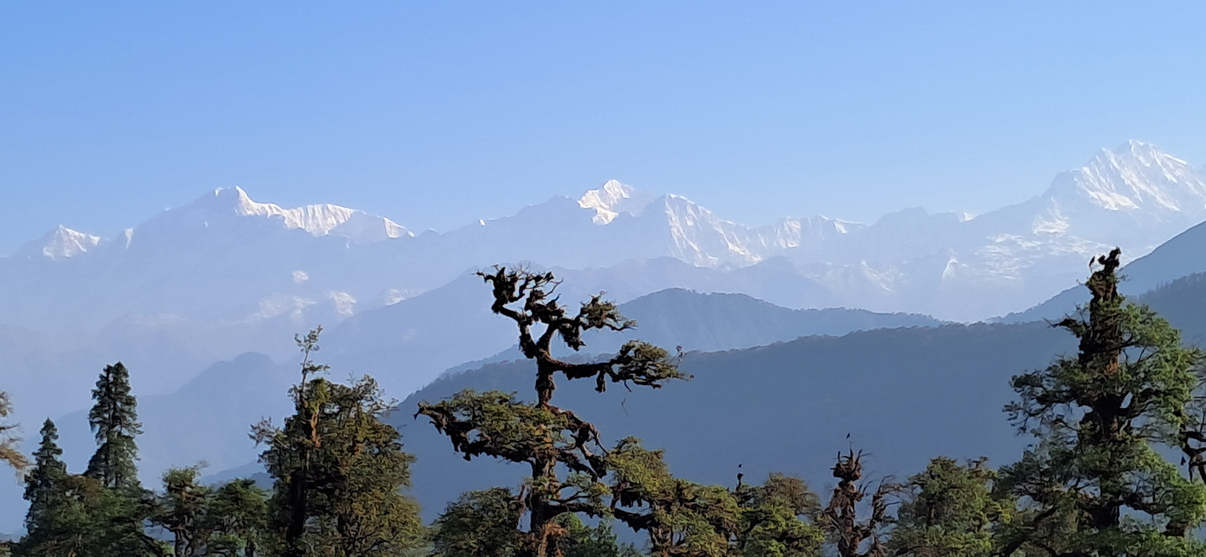 Snow capped mountains - view from Chopta