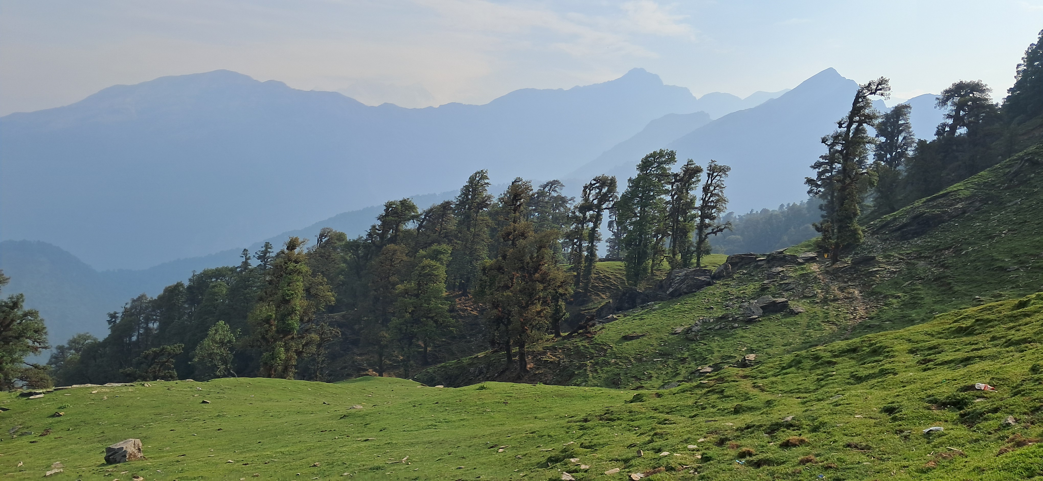 Chopta valley - on way to Tunganath