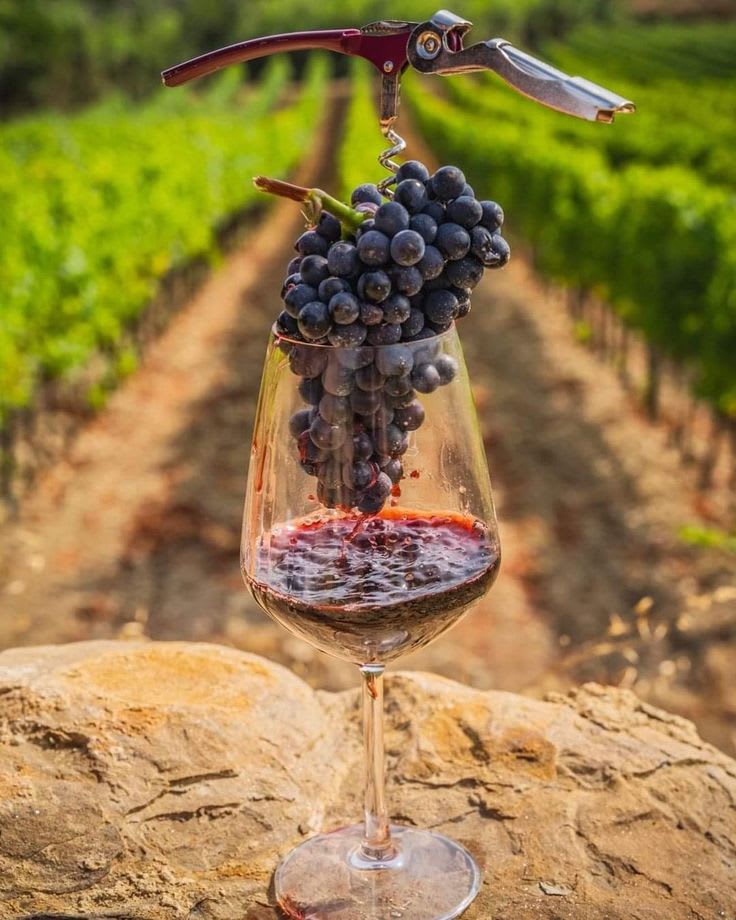 Red Wine