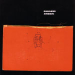 Amnesiac